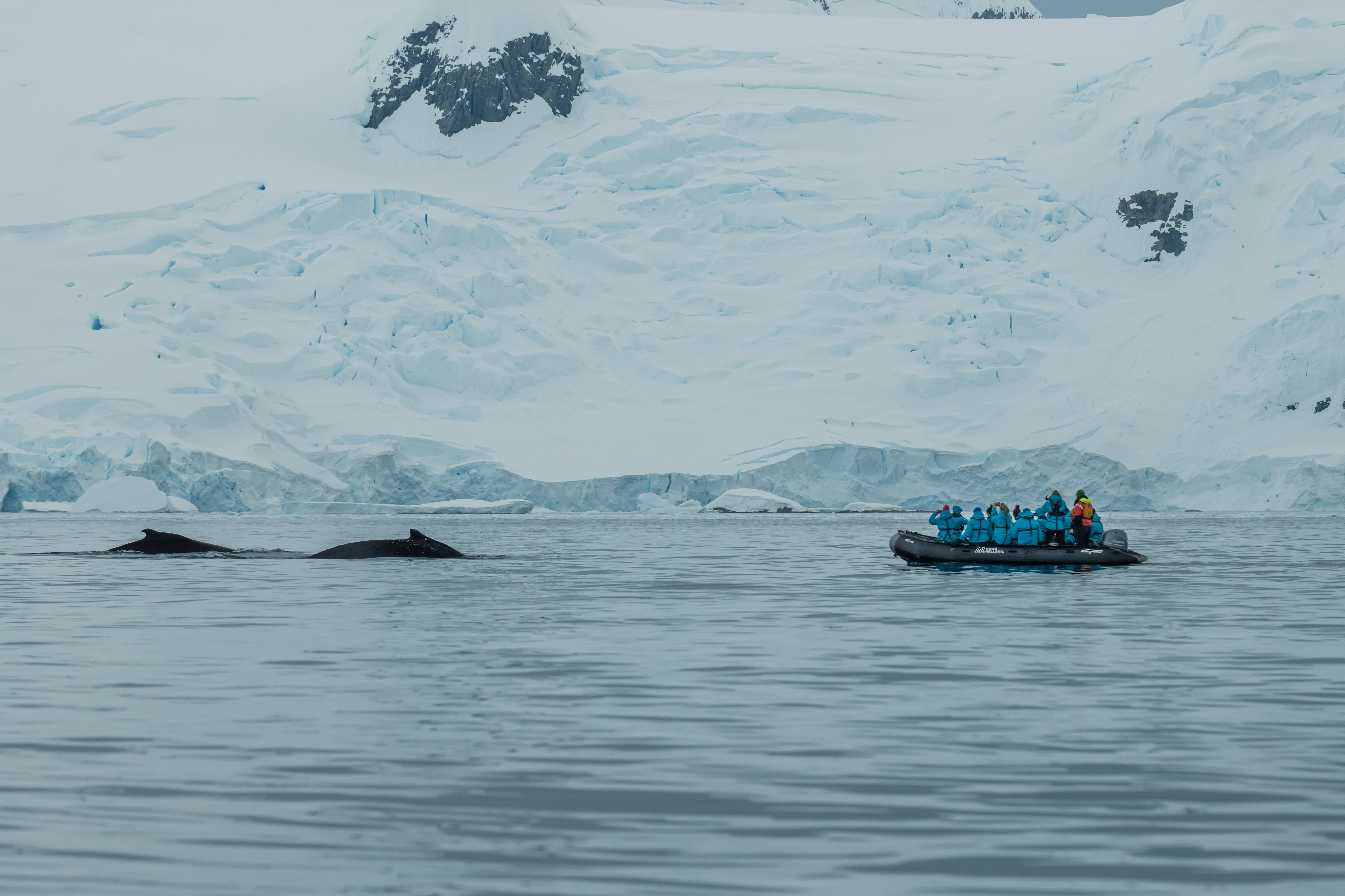 Excursions on SH Minerva